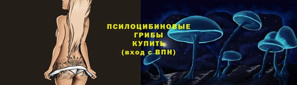 винт Бронницы