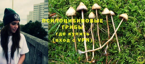 ПСИЛОЦИБИНОВЫЕ ГРИБЫ Володарск